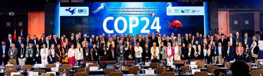 COP 24, barcelona, Monaco, Eqypt